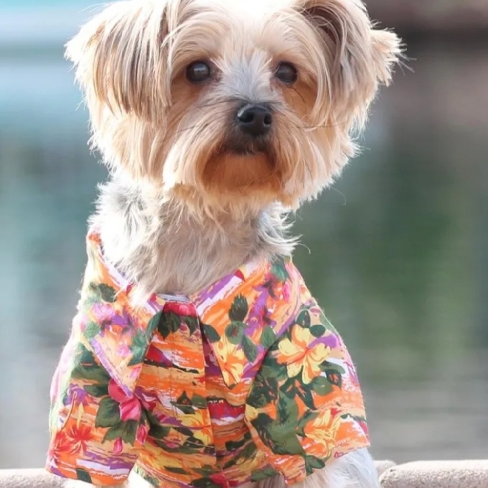 Doggie Design Hawaiian Shirt, size small
